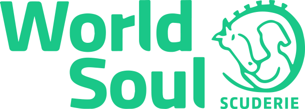 world soul logo